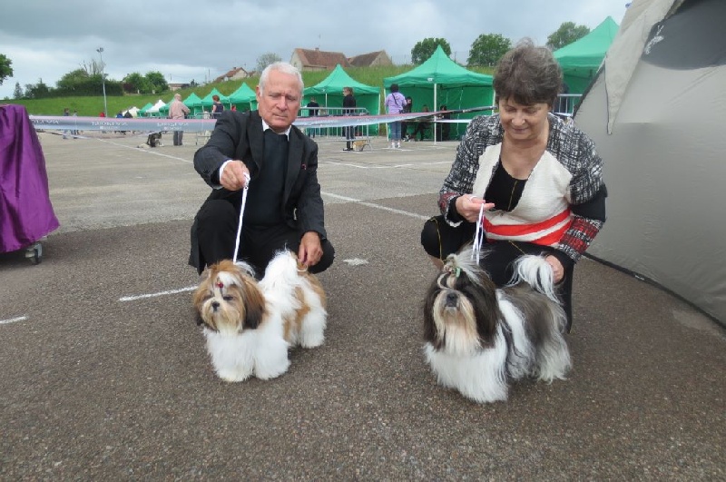 Isadora du domaine des Varennes - 1 er TRES-PROMETTEUR