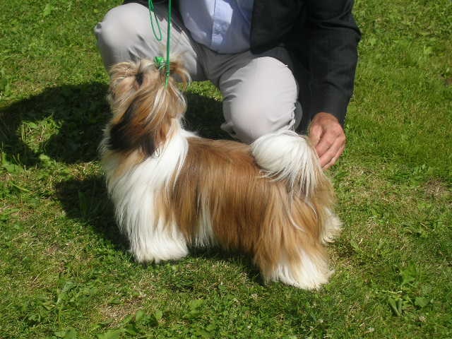 Cypris(fleur de karité) du domaine des Varennes - 4eme Excellent (classe jeune)