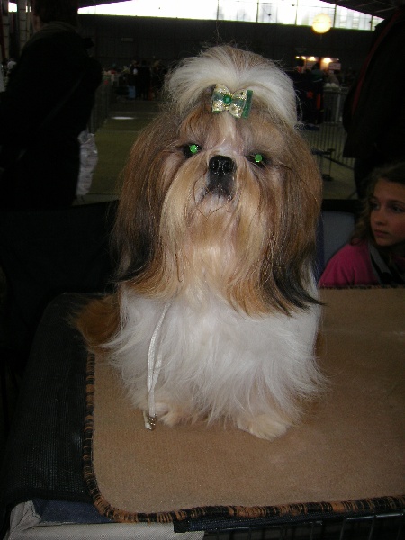 Enjoy du domaine des Varennes - 1er EXCELLENT-C.A.C.S.- R.C.A.C.I.B..