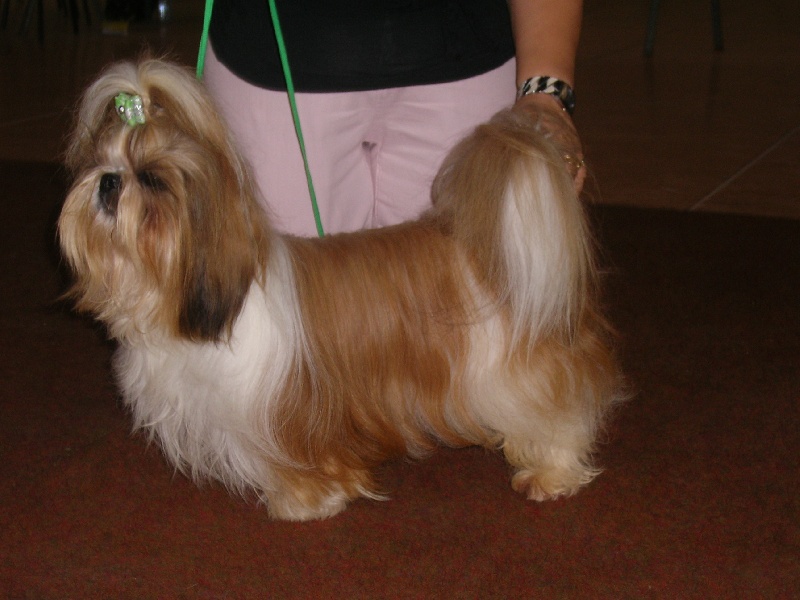 Enjoy du domaine des Varennes - 1er EXCELLENT(cl.ouverte)R.C.A.C.S.