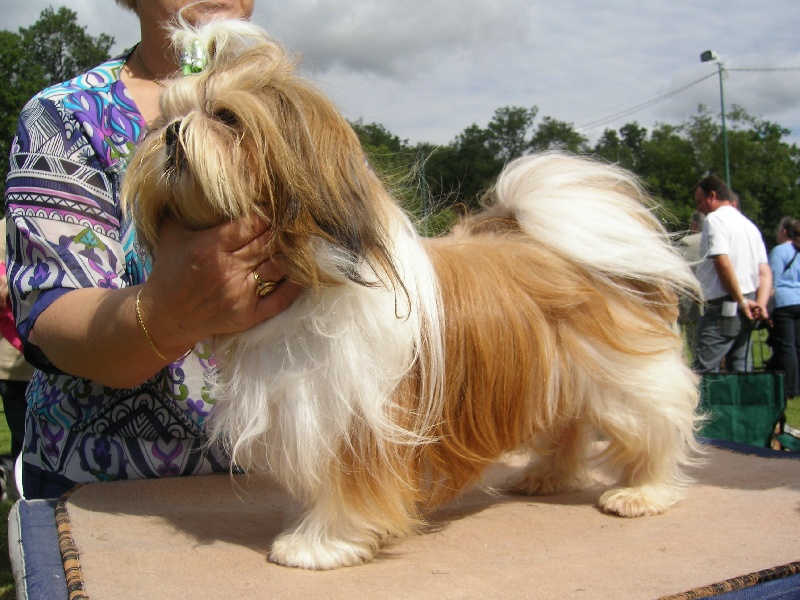 Enjoy du domaine des Varennes - 1er EXCELLENT-R.C.A.C.S.(classe intermédiaire)