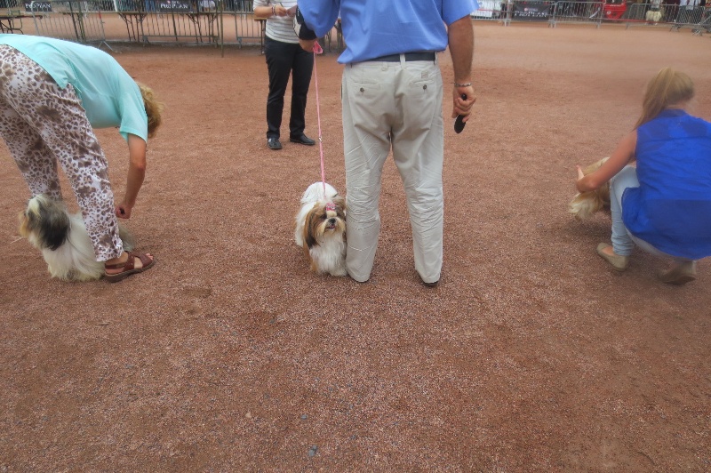 Isadora du domaine des Varennes - 2 éme EXCELLENT(classe jeune)