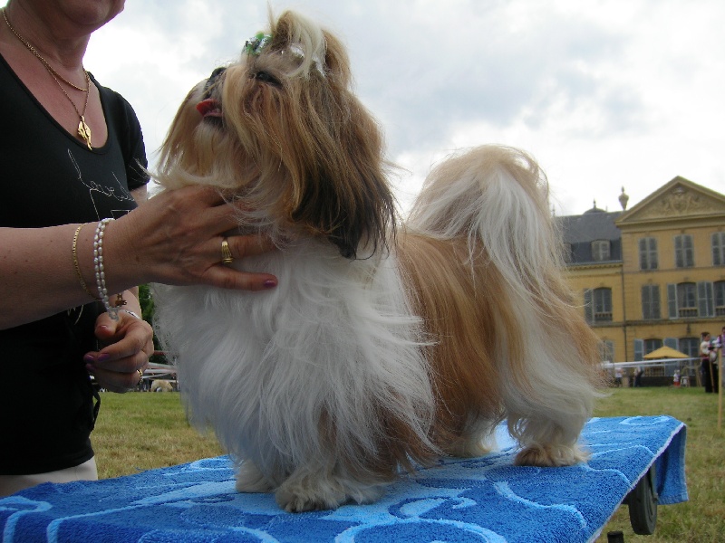 Enjoy du domaine des Varennes - 1er EXCELLENT-C.A.C.S.