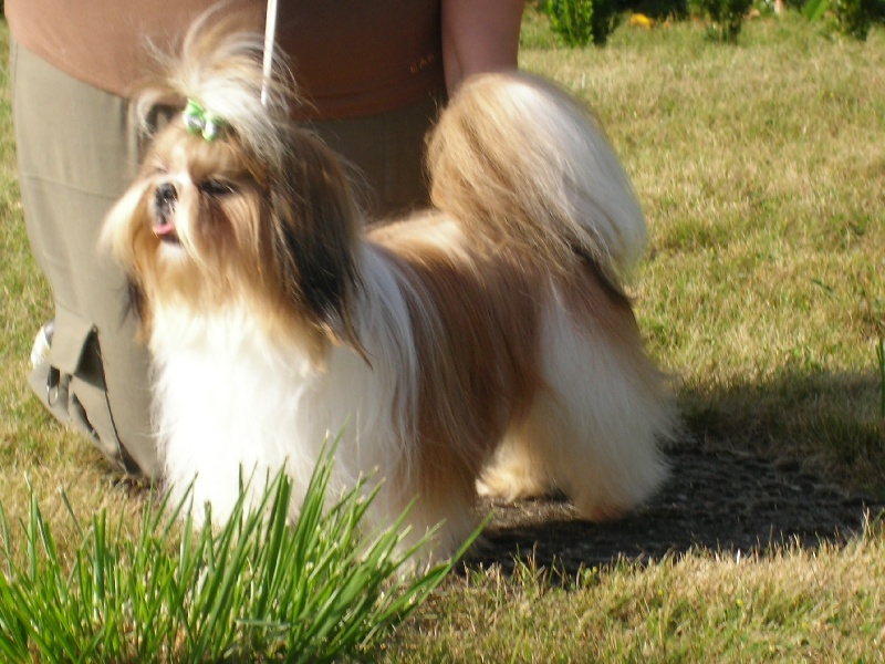 Enjoy du domaine des Varennes - 1er EXCELLENT R.C.A.C.S.(classe inermédiaire)