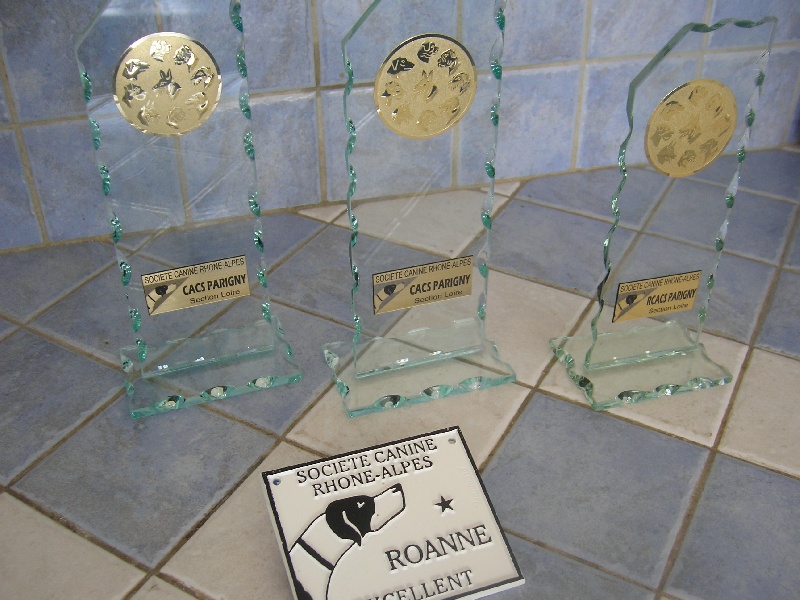 Enjoy du domaine des Varennes - 1 er EXCELLENT(classe ouverte)R.C.A.C.S.