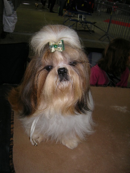 Enjoy du domaine des Varennes - 1 er EXCELLENT-C.A.C.S.(classe ouverte)