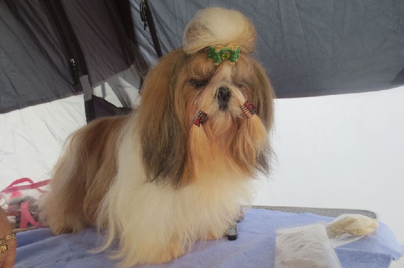 Enjoy du domaine des Varennes - 3 éme EXCELLENT