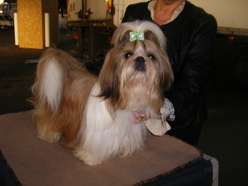 Enjoy du domaine des Varennes - 1er EXCELLENT(classe ouverte)