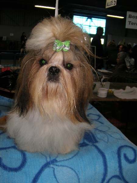 Enjoy du domaine des Varennes - TRES BON