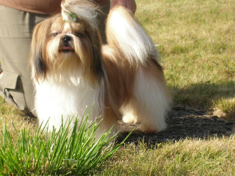 Enjoy du domaine des Varennes - 2eme EXCELLENT