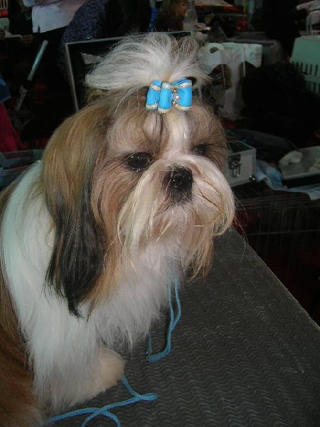 Enjoy du domaine des Varennes - 4eme Excellent (classe jeune)