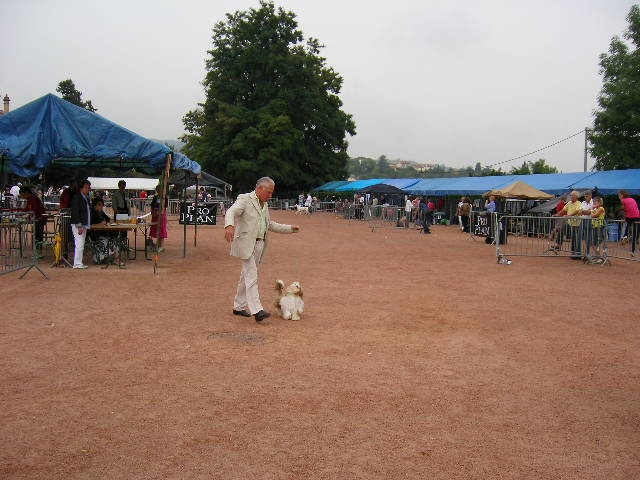Enjoy du domaine des Varennes - Trés Prometteur (classe puppy)