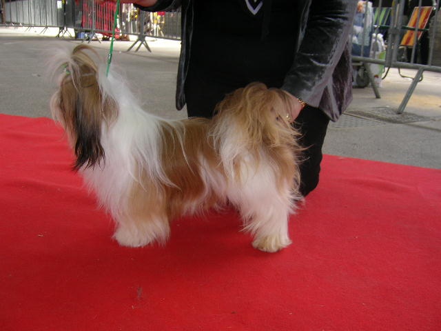 Enjoy du domaine des Varennes - 3 éme EXCELLENT (CLASSE JEUNE)