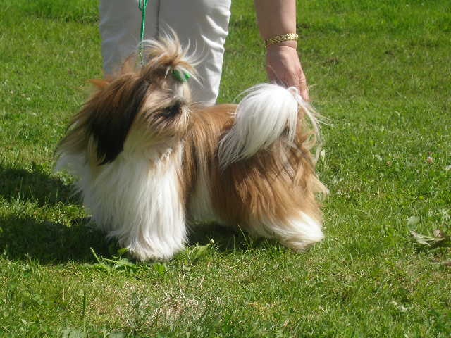 Cypris(fleur de karité) du domaine des Varennes - Trés-Bon