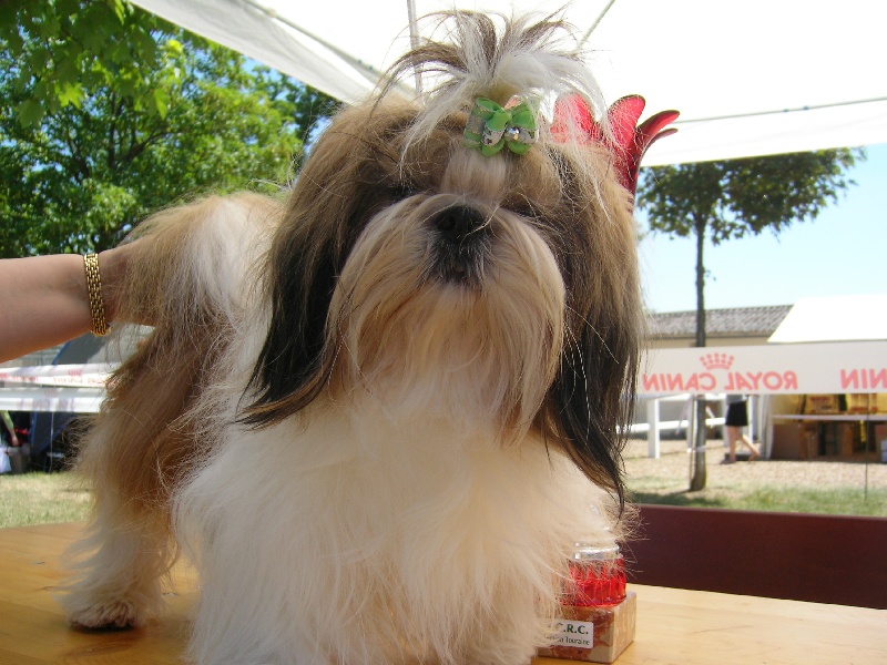 Enjoy du domaine des Varennes - 4 éme Trés Bon (classe intermédiaire)