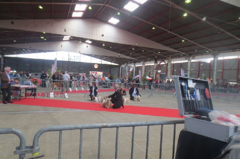 Enjoy du domaine des Varennes - 3 éme EXCELLENT (classe ouverte)