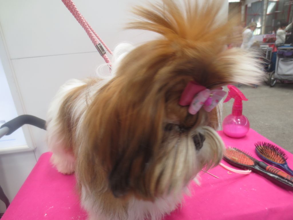 Sheherazade du domaine des Varennes - TRES PROMETTEUR