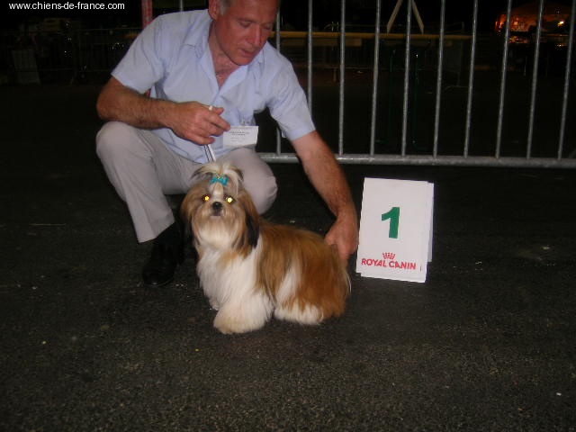 Cypris(fleur de karité) du domaine des Varennes - 1er EXCELLENT(MEILLEUR JEUNE)