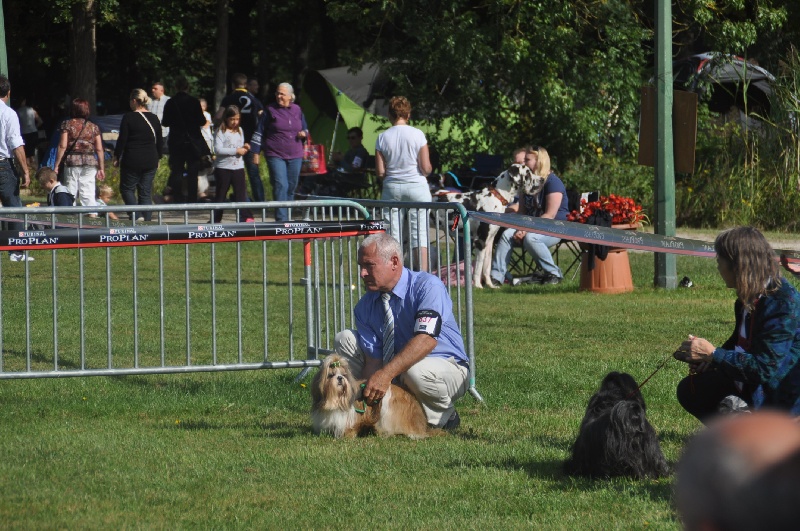Enjoy du domaine des Varennes - 3 éme EXCELLENT