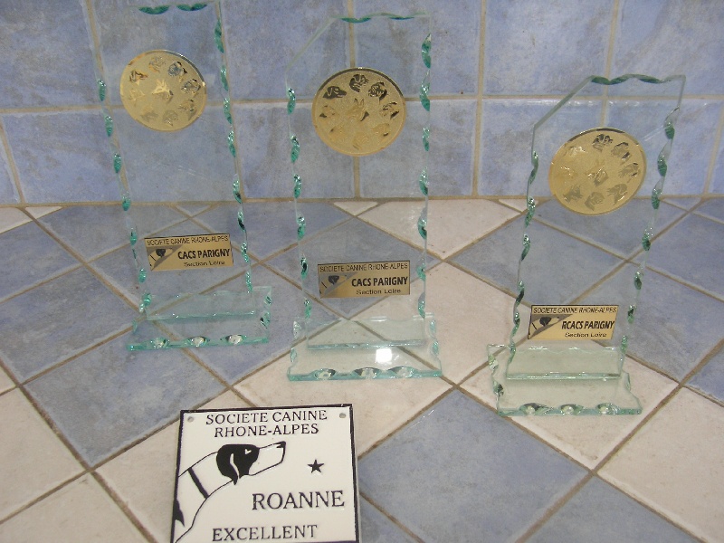 Fidji play-boy du domaine des Varennes - 2 éme EXCELLENT(classe intermédiaire)