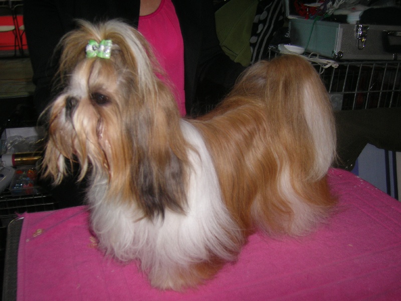 Enjoy du domaine des Varennes - 1 ER EXCELLENT(cl.ouverte) R.C.A.C.S.