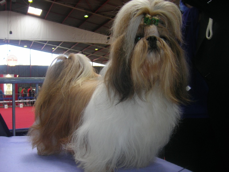 Enjoy du domaine des Varennes - 2éme EXCELLENT + R.C.A.C.S.