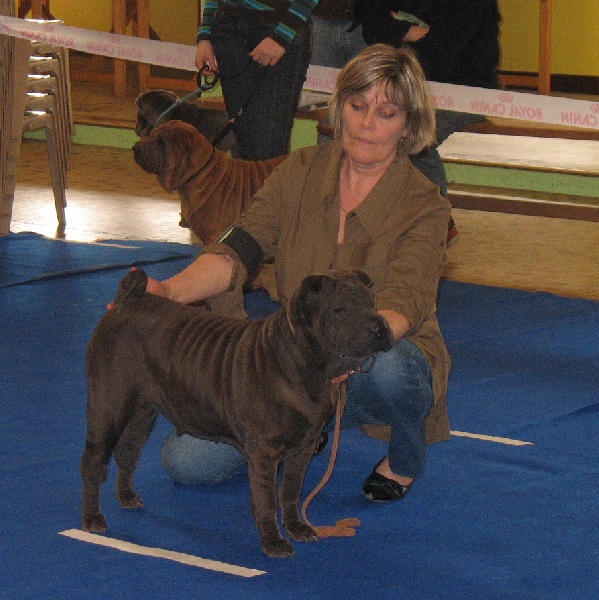 Tséti du Lin Fong - 4 ème COF