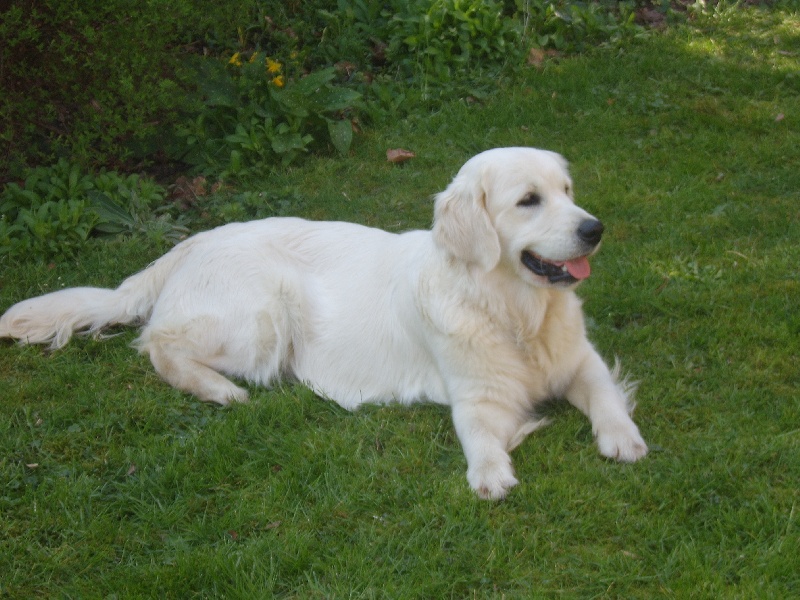 Publication : de La Plaine du Moulin d'Alys