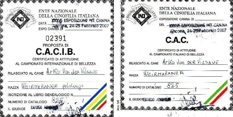 TR. CH. Arko Von der Vilsaue - Exc 1, CAC, CACIB, Meilleur de sa Race, Prix Spécial