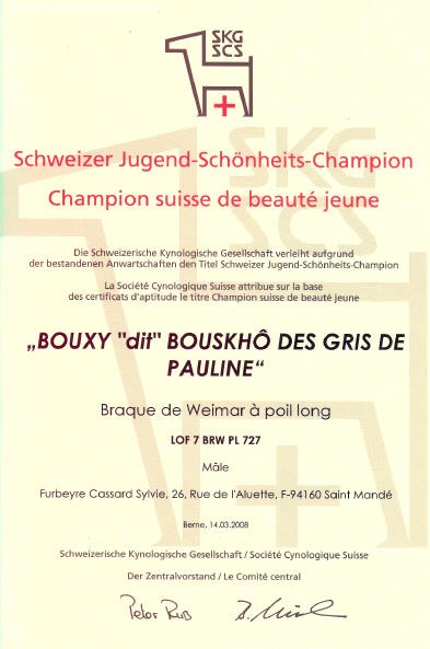 TR. CH. Bouxy dit bouskho-brennus des Gris de Pauline - Champion Suisse Jeune de Beauté