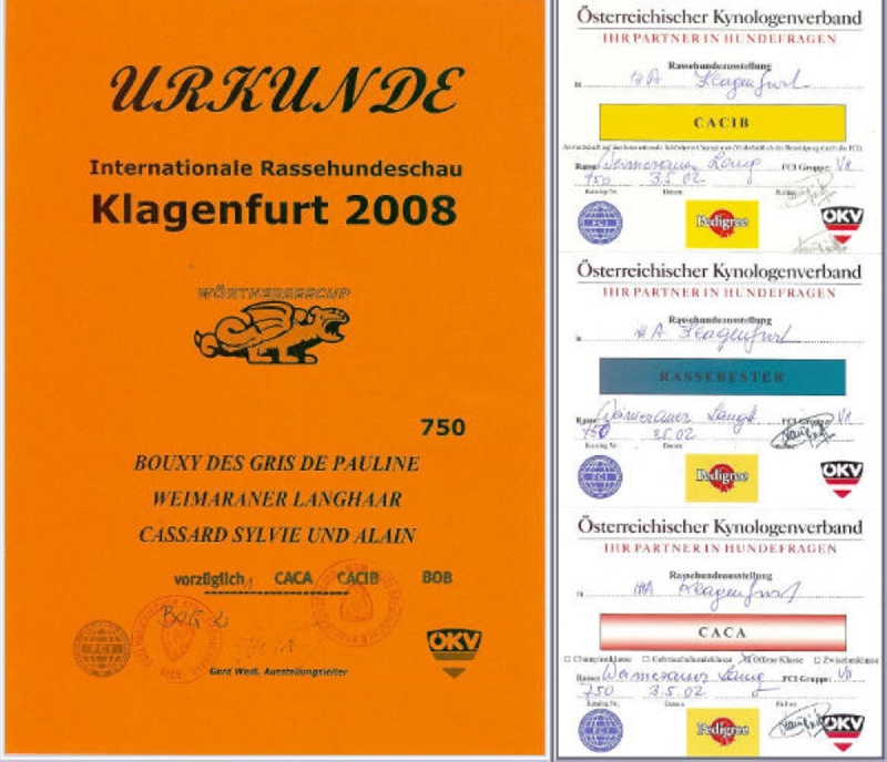 TR. CH. Bouxy dit bouskho-brennus des Gris de Pauline - Excellent 1, CAC-Autriche, CACIB, Meilleur de sa Race,BOG2