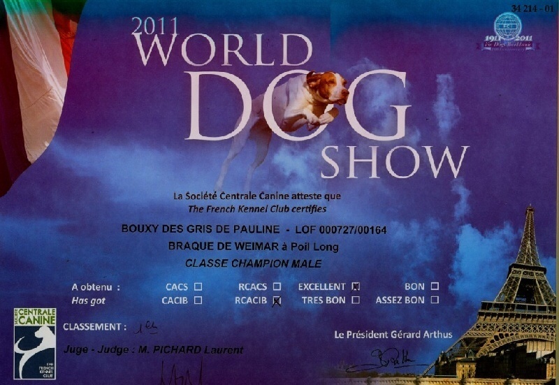 TR. CH. Bouxy dit bouskho-brennus des Gris de Pauline - 1er Excellent - RCACS