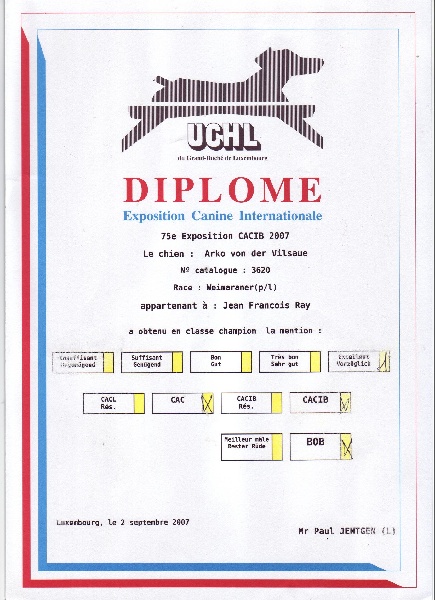 TR. CH. Arko Von der Vilsaue - Exc 1, CACL, CACIB, Meilleur de sa Race, L. Ch.