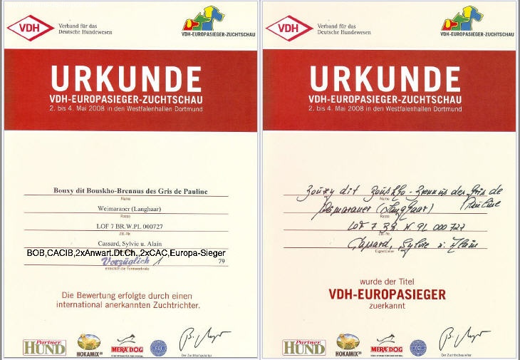 TR. CH. Bouxy dit bouskho-brennus des Gris de Pauline - Excellent 1, 2xCACS,2xCAC,CACIB,BOB, Champion d'Europe 2008
