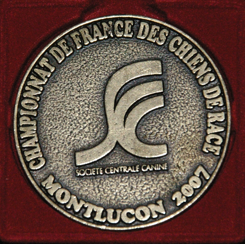 TR. CH. Bouxy dit bouskho-brennus des Gris de Pauline - Prometteur