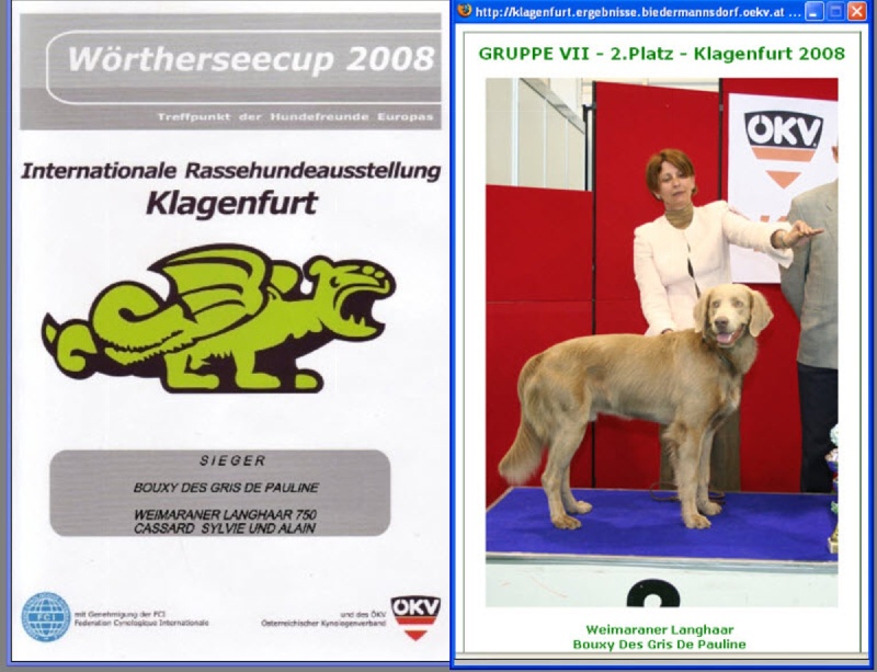 TR. CH. Bouxy dit bouskho-brennus des Gris de Pauline - Sieger der Wörthersee Cup 2008 & BOG2