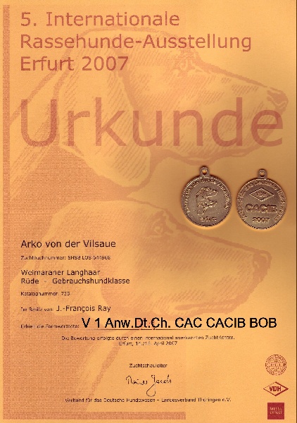 TR. CH. Arko Von der Vilsaue - Exc 1,CACS de Championnat, CAC, CACIB, Meilleur de sa Race