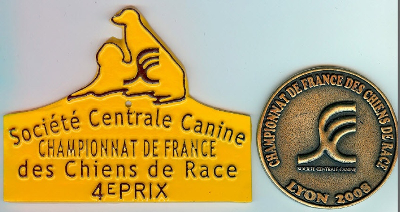 TR. CH. Bouxy dit bouskho-brennus des Gris de Pauline - Excellent 4 et 4ème Prix