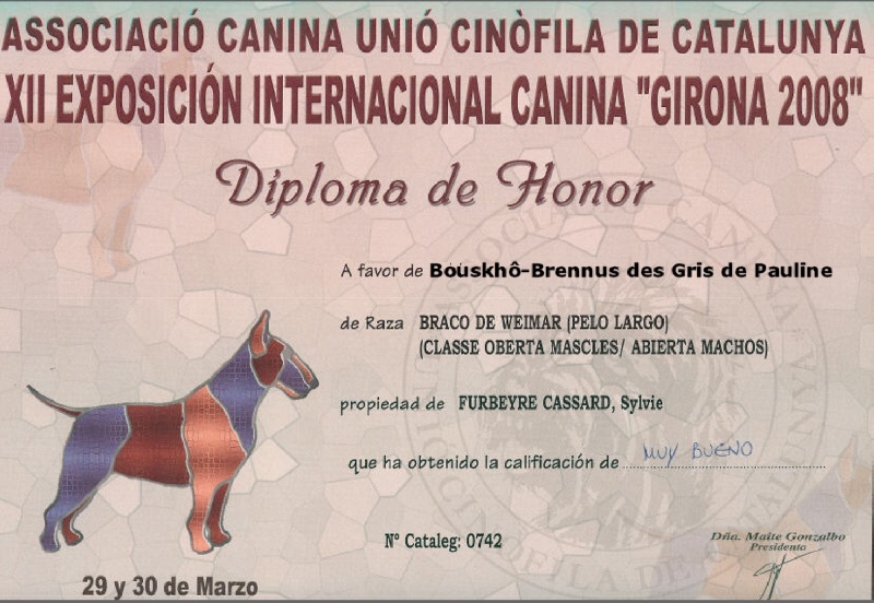 TR. CH. Bouxy dit bouskho-brennus des Gris de Pauline - Très bon 1