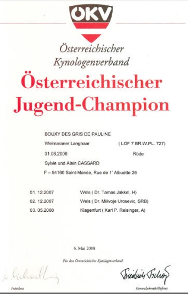 TR. CH. Bouxy dit bouskho-brennus des Gris de Pauline - Champion Jeune d' Autriche