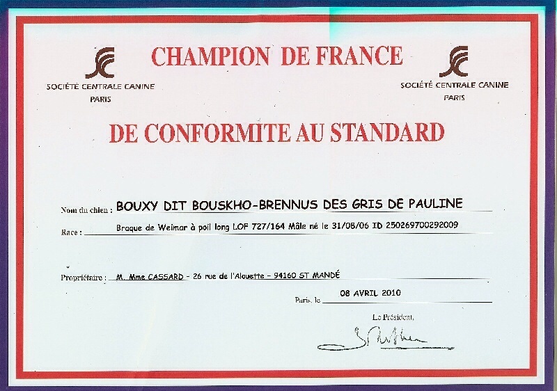 TR. CH. Bouxy dit bouskho-brennus des Gris de Pauline - CHCS