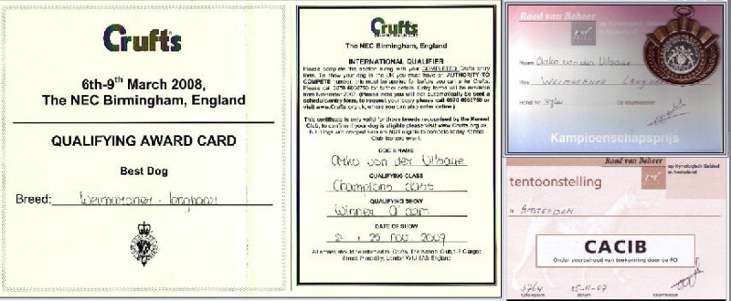 TR. CH. Arko Von der Vilsaue - Excellent 1, Winner 2007,Double CAC de Championnat, CACIB,Meilleur Mâle,Cruft's