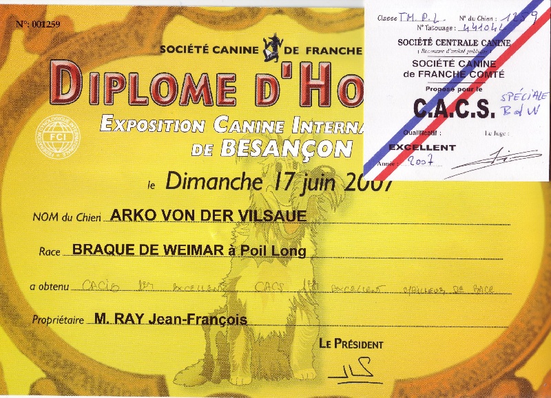 TR. CH. Arko Von der Vilsaue - Exc 1, CACS de Spéciale, CACIB, Meilleur de sa Race