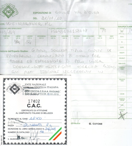 TR. CH. Arko Von der Vilsaue - Excellent 1, CAC No 17402, Meilleur de sa Race