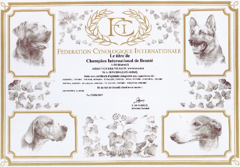 TR. CH. Arko Von der Vilsaue - Champion International de Beauté C.I.B 2007