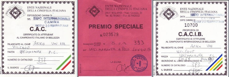 TR. CH. Arko Von der Vilsaue - Excellent 1, CAC, CACIB, Meilleur Mâle, Meilleur de sa Race