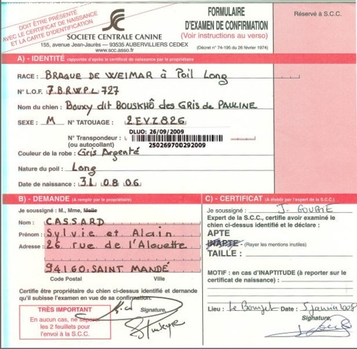 TR. CH. Bouxy dit bouskho-brennus des Gris de Pauline - APTE