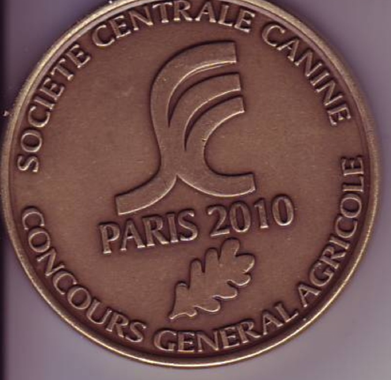 TR. CH. Bouxy dit bouskho-brennus des Gris de Pauline - Qualification & Présentation