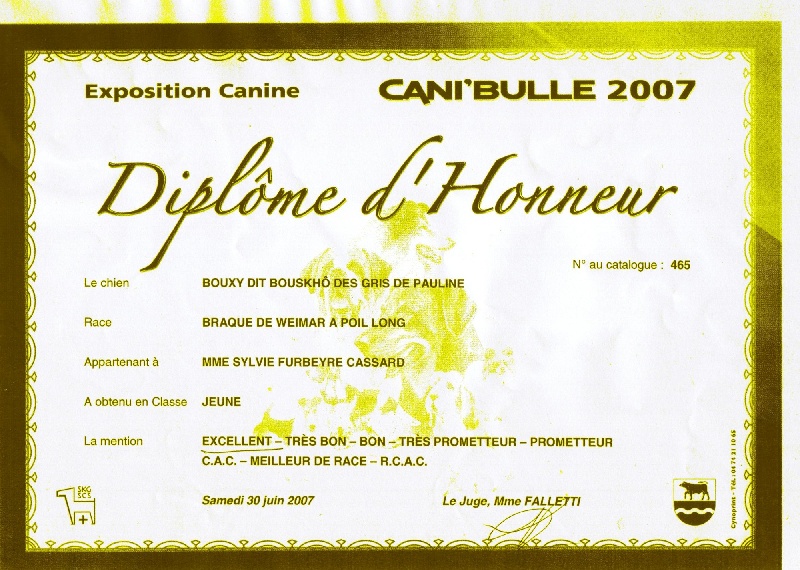 TR. CH. Bouxy dit bouskho-brennus des Gris de Pauline - Excellent 1