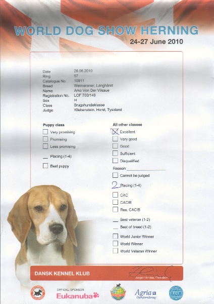 TR. CH. Arko Von der Vilsaue - EXCELLENT 2